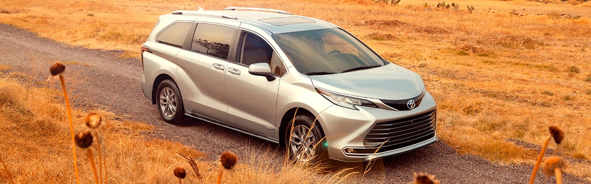 Toyota Guanajuato in Guanajuato Guanajuato