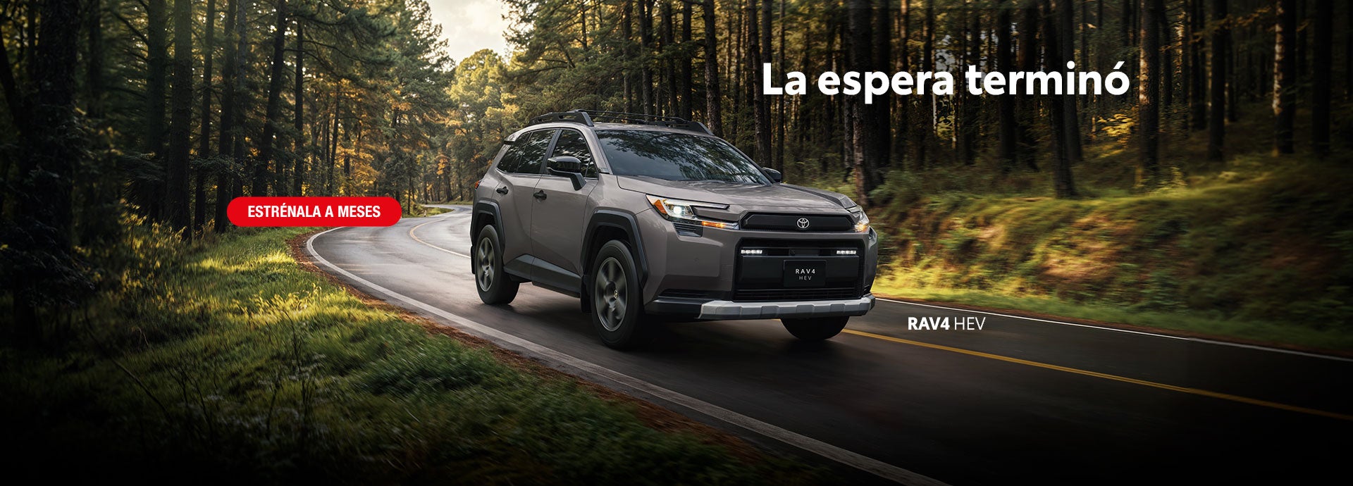 ESTRENA UNA RAV4
